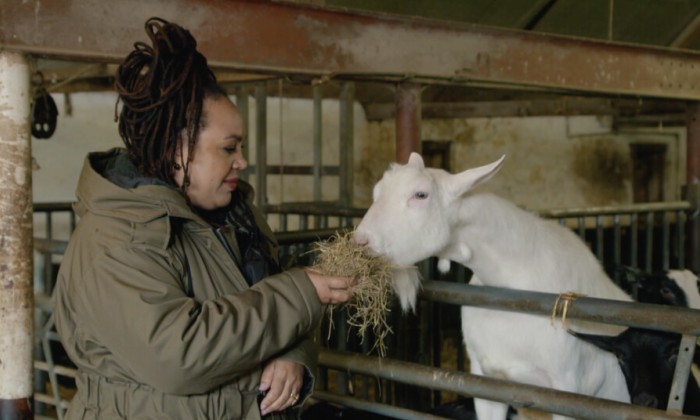 chef-kok Sharon bezoekt een geitenboerderij